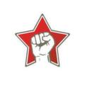 Особая роль профсоюзов в обществе