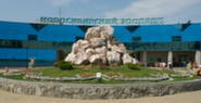 Новосибирский зоопарк 21.09.2013г. Новосибирский зоопарк 21.09.2013г.